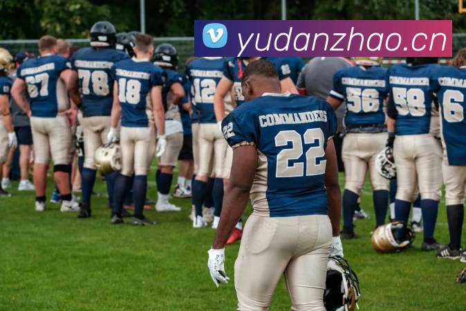 多媒体互动体验